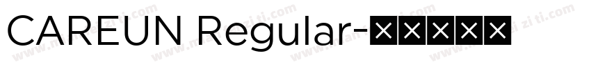 CAREUN Regular字体转换